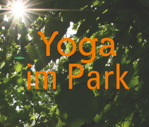 Yoga im Park