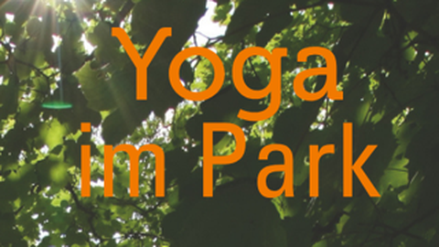 Yoga im Park